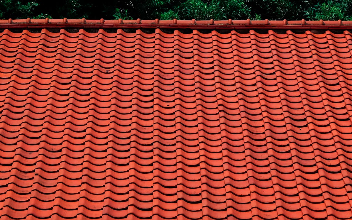 Démoussage de toiture : haute pression ou méthode douce ?